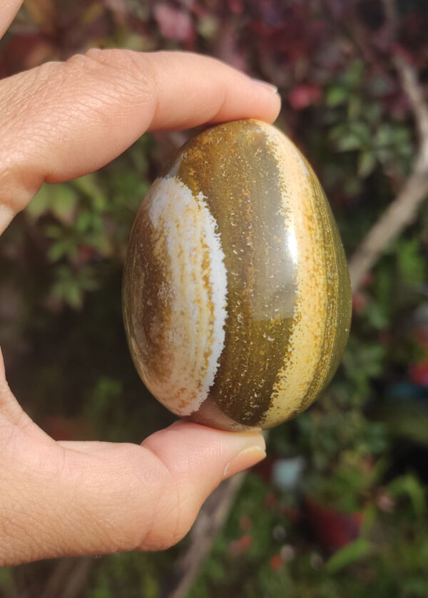 Oeuf en jaspe océan