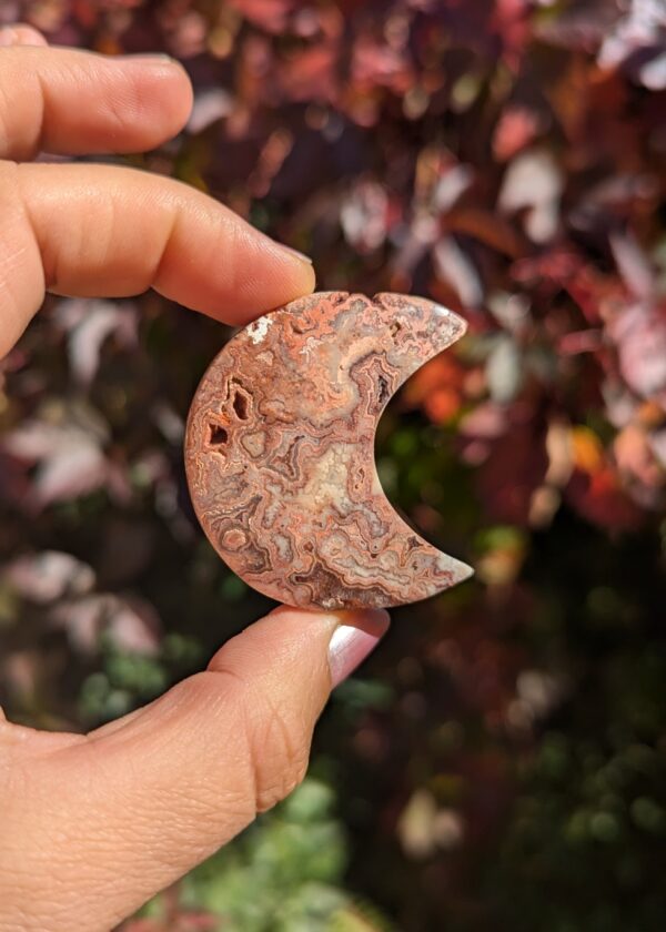 Lune Agate crazy lace Rose