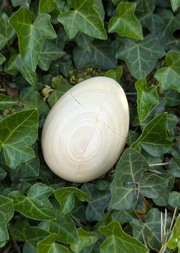 Oeuf en Jaspe paysage – Image 4