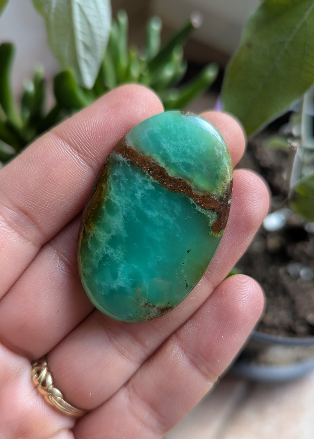 Cabochon Chysoprase