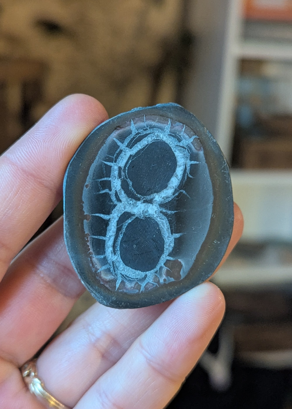 Nodule de Septaria n°1