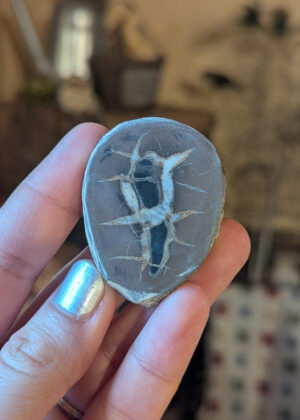 Nodule de Septaria n°2