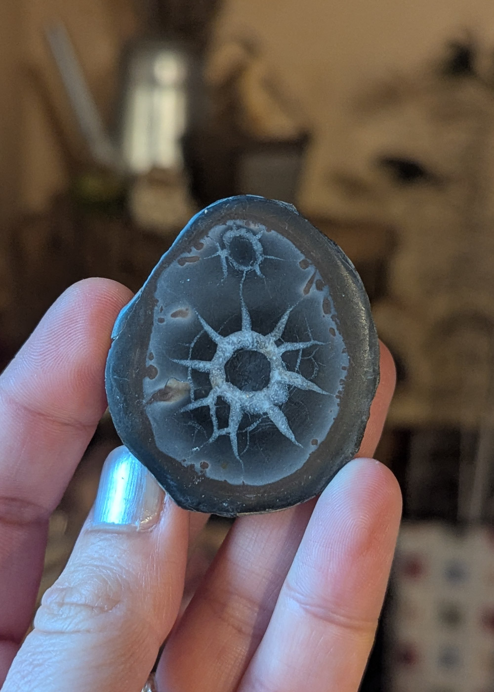 Nodule de Septaria n°3