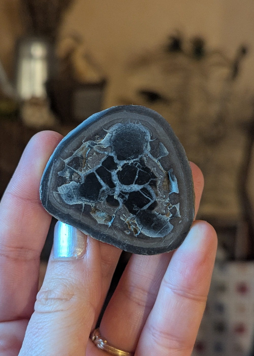 Nodule de Septaria n°4