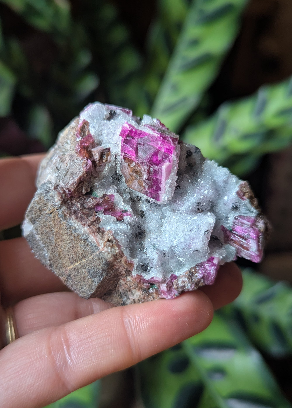 Cobatocalcite brute A