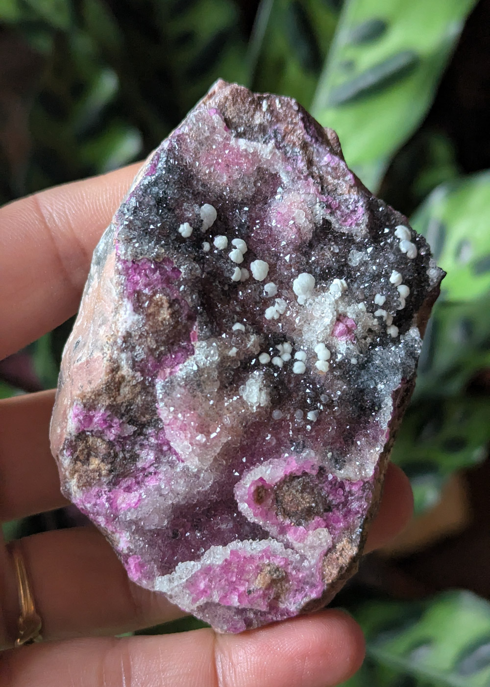 Cobatocalcite brute C